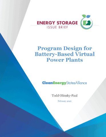 BVPP cover