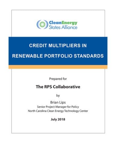 Credit Multipliers in Renewable Portfolio Standards