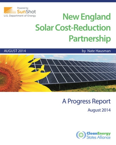 RSCII-Progress-Report-August-2014 cover