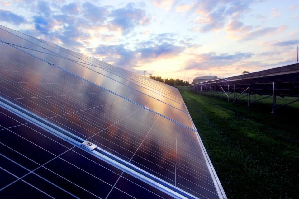 Photo of industrial scale solar panels taken at dawn in Columbia, Missouri. Photo by Lucia Bourgeois.